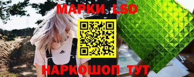 spice Камышлов