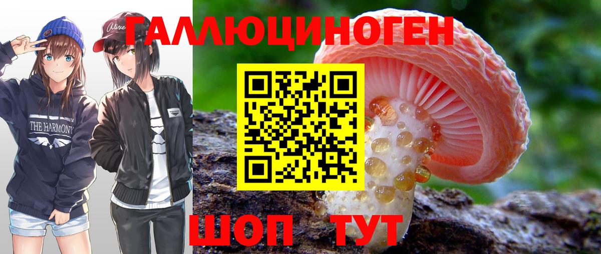 Псилоцибиновые грибы Cubensis  Вход с VPN  Красноуфимск  Псилоцибиновые грибы Magic Shrooms 