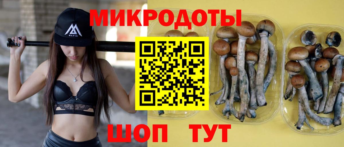 Псилоцибиновые грибы ЛСД Красноуфимск
